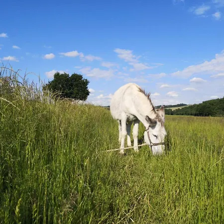 Domaine De Cavailla Holiday home *